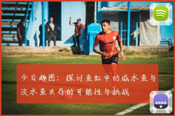今日趣图：探讨鱼缸中的咸水鱼与淡水鱼共存的可能性与挑战
